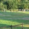 Letní tenisové soustředění v Bedřichově 8.8. - 15.8.2015 (2.část)